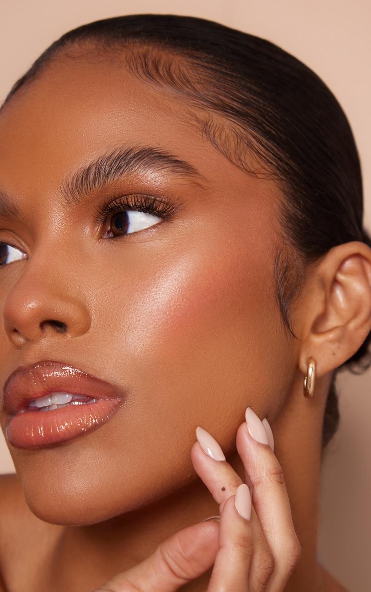 Rosy blush and nude glossy lips