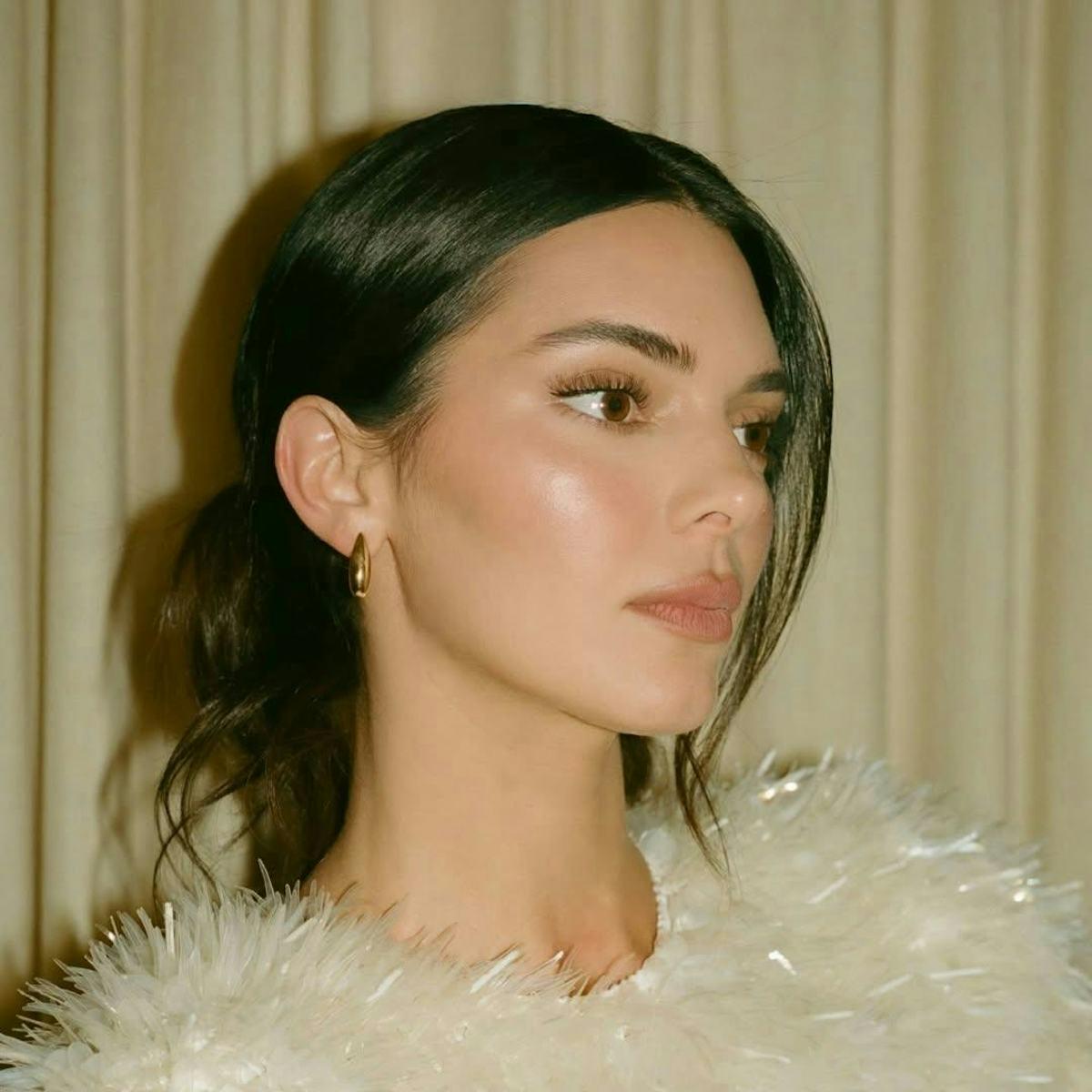 Kendall Jenner sculpted cheekbones makeup