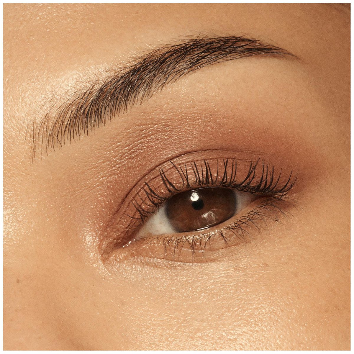 Soft brown eyeshadow natural eye makeup